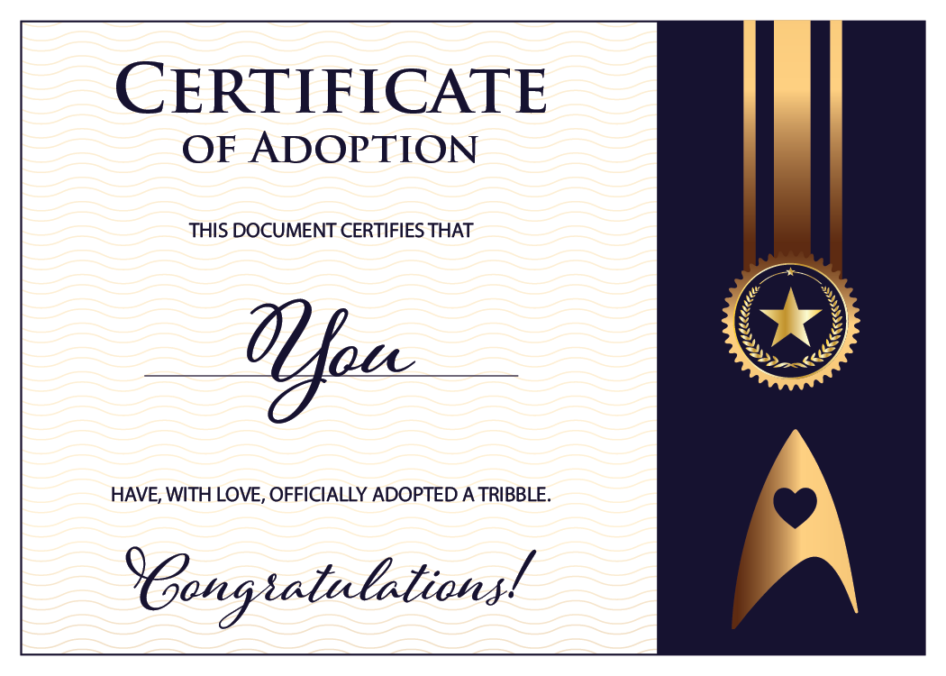 Description of the image